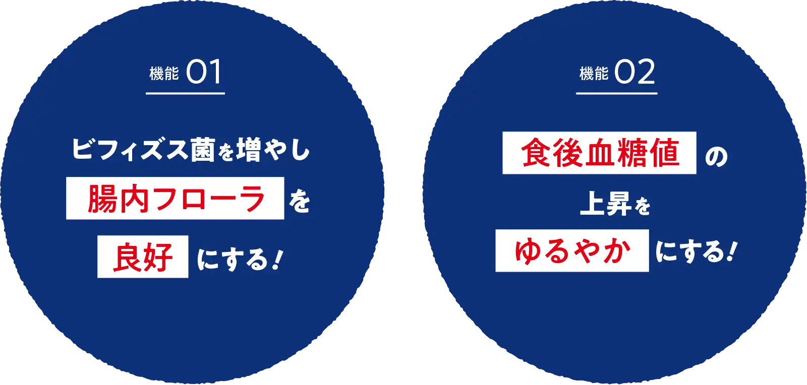 「機能01」ビフィズス菌を増やし腸内フローラを良好にする。「機能02」食後血糖値の上昇をゆるやかにする