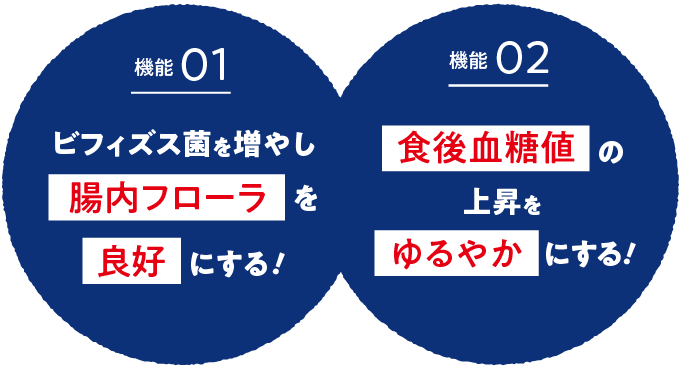 「機能01」ビフィズス菌を増やし腸内フローラを良好にする。「機能02」食後血糖値の上昇をゆるやかにする